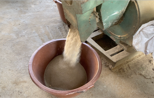 Fonio being milled into a basin